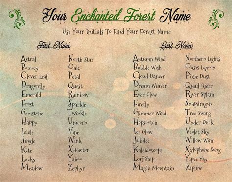 Hocus Pocus: 30 Mesmerizing Names for Your Trusty Witches' Broom